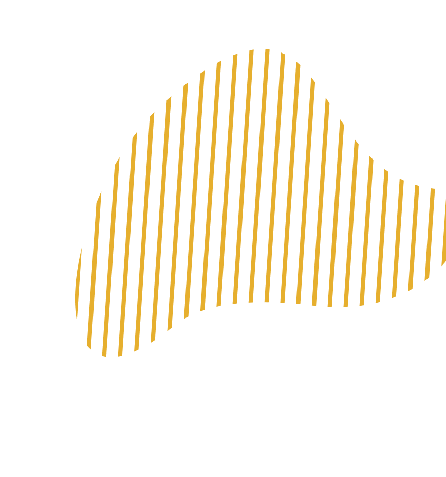 shape yellow lines